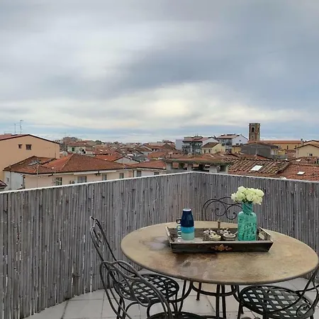 Joy's Viareggio